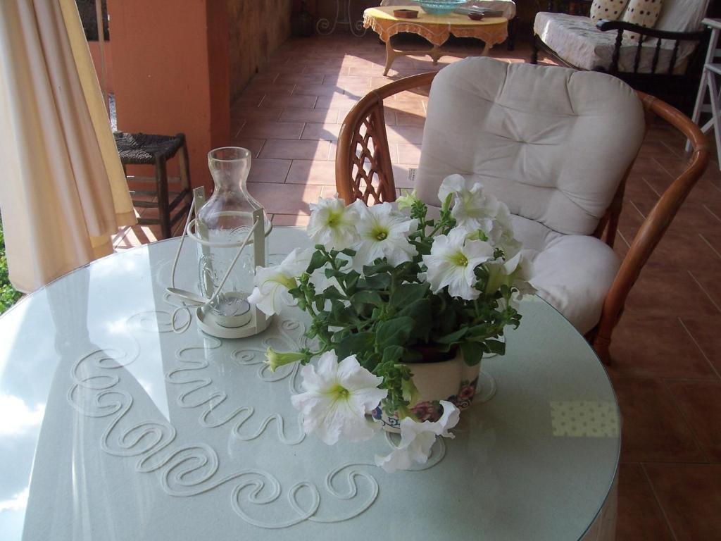 Laurel De La Reina Bed & Breakfast - Boutique 拉苏维亚 外观 照片
