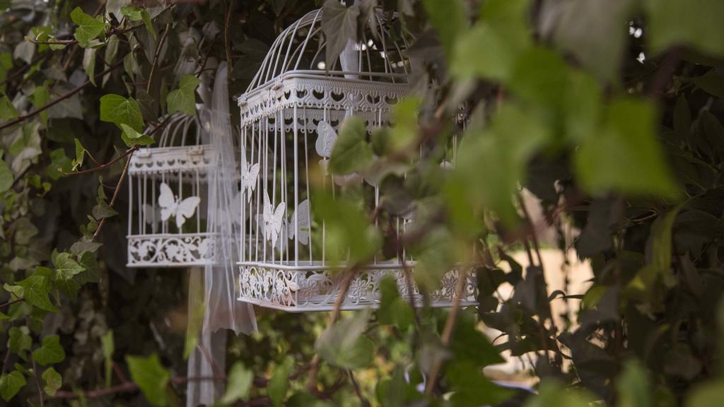 Laurel De La Reina Bed & Breakfast - Boutique 拉苏维亚 外观 照片
